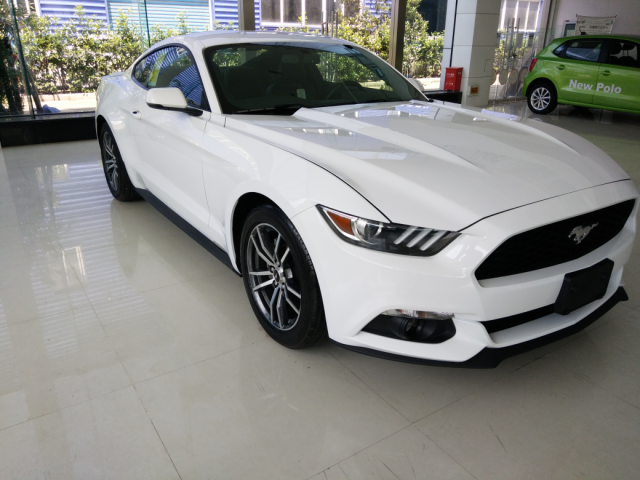 {賭馬}(野马车型大全及价格表图片) {賭馬}(野马车型大全及价格表图片)